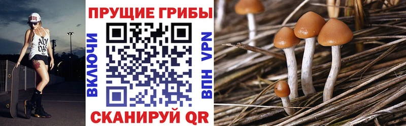 цены   Котово  Галлюциногенные грибы MAGIC MUSHROOMS 